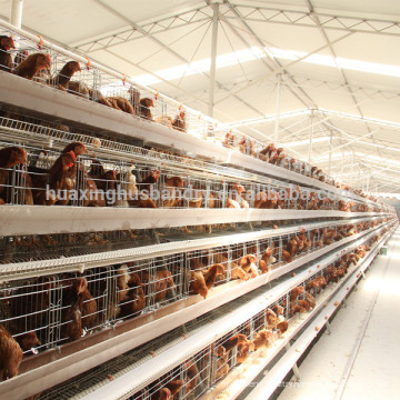 good quality best selling new design poultry equipment